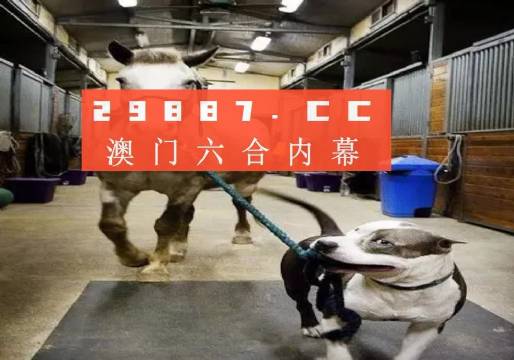 怀化_澳门一肖一码一待一中广东,检举阐明详细解答、解释与落实 怀化_澳门一肖一码一待一中广东,检举阐明详细解答、解释与落实